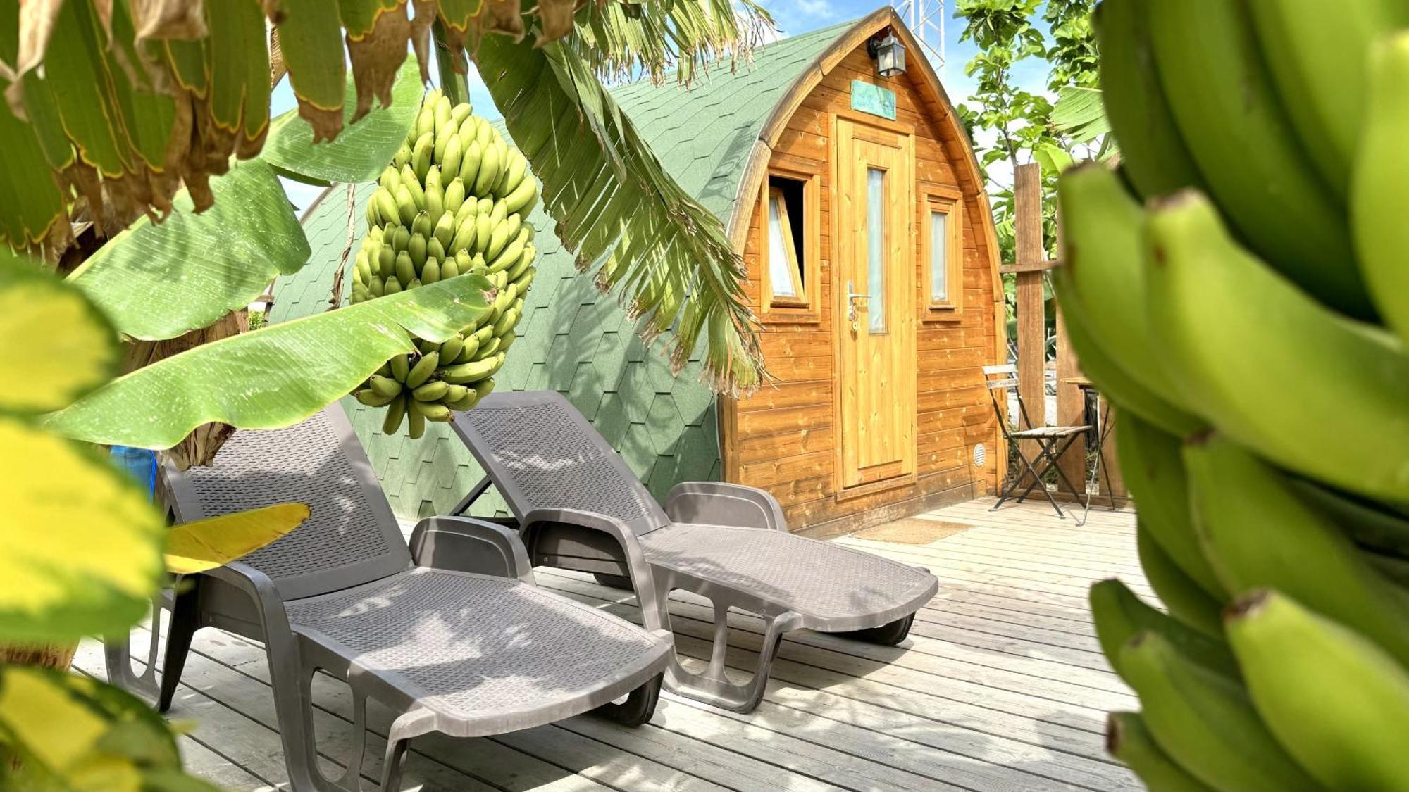 Lykke Sauna Piscina Y Jardin Appartamento Buzanada